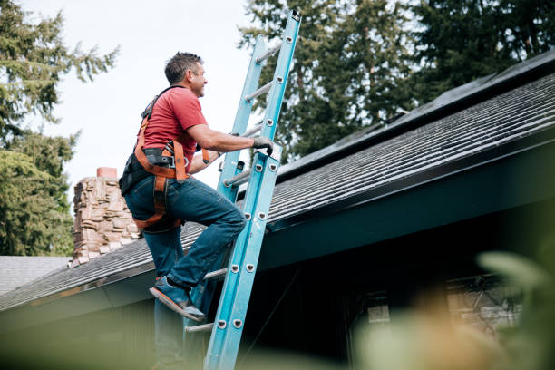 Best Roof Maintenance and Cleaning  in Combee Settlement, FL